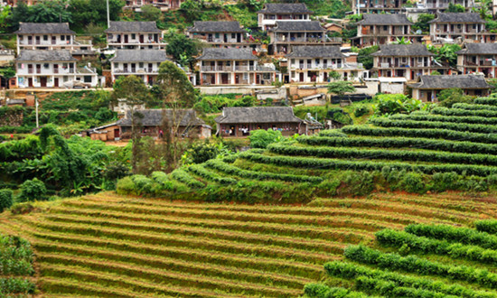 健康小鎮(zhèn)行業(yè)市場(chǎng)環(huán)境及發(fā)展現(xiàn)狀、未來(lái)前景展望