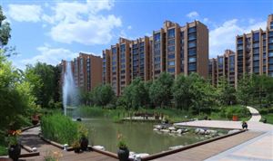 中國移動社區(qū)行業(yè)產(chǎn)業(yè)鏈構(gòu)成概述及市場競爭分析