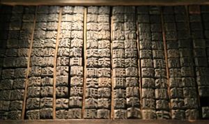 2024數(shù)字印刷行業(yè)市場(chǎng)分析及發(fā)展規(guī)劃