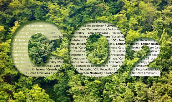 中國碳中和背景下建筑行業(yè)深度分析與發(fā)展前景預測