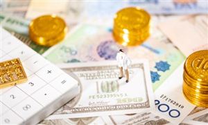 2024年中國對(duì)外貿(mào)易市場細(xì)分領(lǐng)域現(xiàn)狀深度剖析與未來發(fā)展趨勢預(yù)測報(bào)告