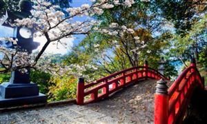 ?智慧旅游行業(yè)重點數(shù)據(jù)及未來五年投資趨勢分析預測