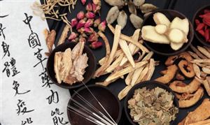 2025年藥材行業(yè)發(fā)展現(xiàn)狀趨勢與未來市場預(yù)測