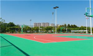 2025年體育產(chǎn)業(yè)消費升級：健康生活的新選擇