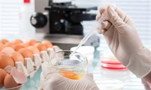2025年食品安全檢測(cè)行業(yè)現(xiàn)狀與趨勢(shì)：政策、技術(shù)與市場(chǎng)的三重驅(qū)動(dòng)