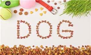 2025年寵物食品凍干機(jī)產(chǎn)業(yè)深度研究報告：千億市場的技術(shù)革命與增長極