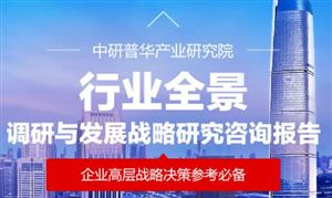 2025年中國(guó)稀土新材料市場(chǎng)深度調(diào)查研究