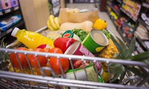 2025年食品廣告行業(yè)風險投資態(tài)勢及發(fā)展趨勢預測