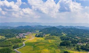 2025年中國農業(yè)循環(huán)經濟行業(yè)市場發(fā)展分析及投資前景預測