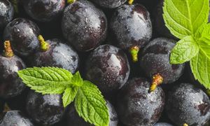 2025年進口紅酒行業(yè)現(xiàn)狀與發(fā)展趨勢分析