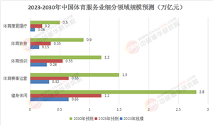 2025-2030中國(guó)體育服務(wù)全景透視：技術(shù)賦能與下沉市場(chǎng)雙核驅(qū)動(dòng)增長(zhǎng)引擎