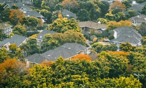 景觀園林行業(yè)市場深度分析及市場規(guī)模調(diào)研2025