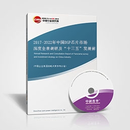 2017-2022年中國(guó)DSP芯片市場(chǎng)深度全景調(diào)研及“十三五”發(fā)展前景預(yù)測(cè)報(bào)告